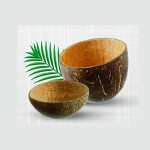Verrine COCO